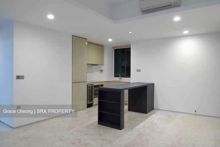 Skysuites@Anson (D2), Apartment #202190952